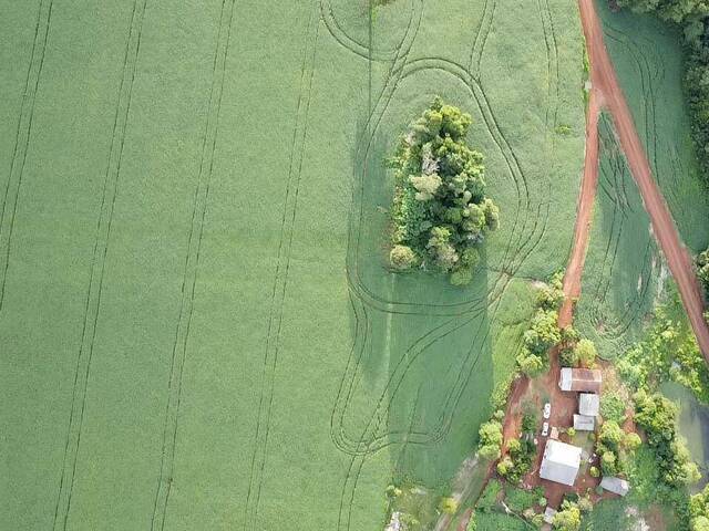 #87 - Chácara para Venda em Foz do Jordão - PR