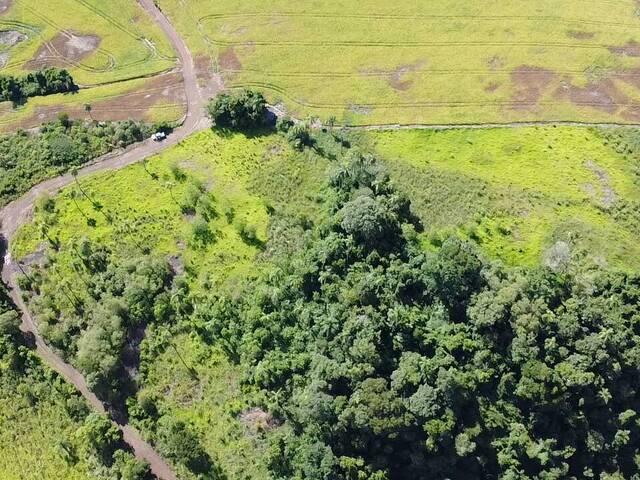 #126 - Chácara para Venda em Candói - PR