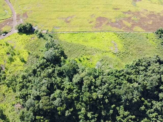 Chácara para Venda em Candói - 4