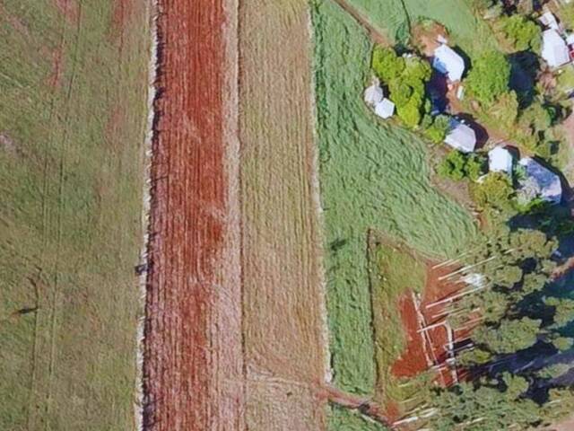 #137 - Chácara para Venda em Candói - PR