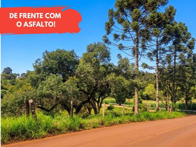 #143 - Área para Venda em Candói - PR