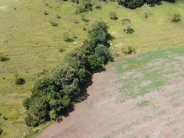 Chácara para Venda em Candói - 4