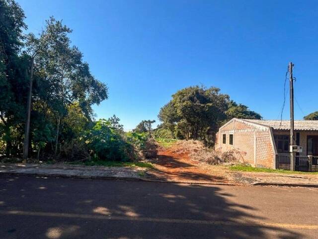 #147 - Área para Venda em Candói - PR