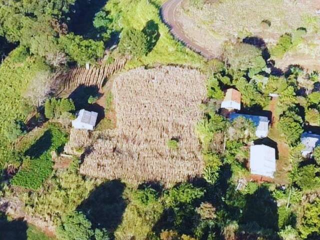 Chácara para Venda em Candói - 2